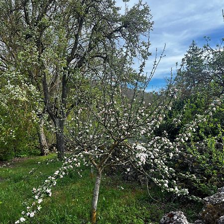 El Pecu Casa Rural Starfamiliar Bustillo Del Paramo Bagian luar foto