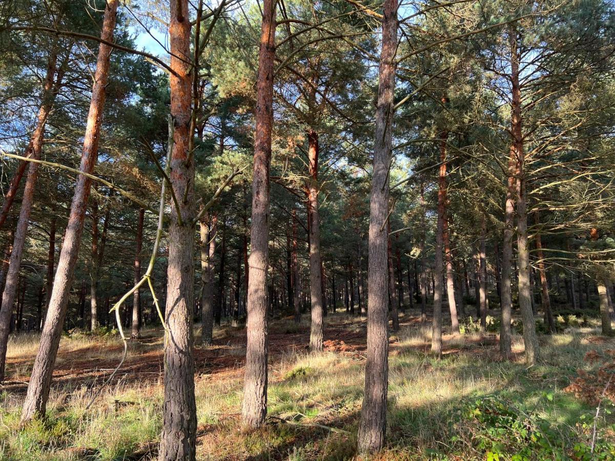 El Pecu Casa Rural Starfamiliar Bustillo Del Paramo Bagian luar foto