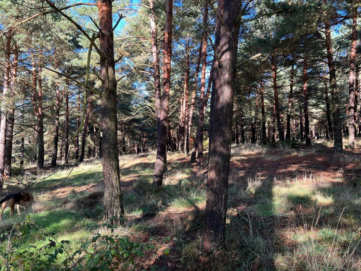 El Pecu Casa Rural Starfamiliar Bustillo Del Paramo Bagian luar foto
