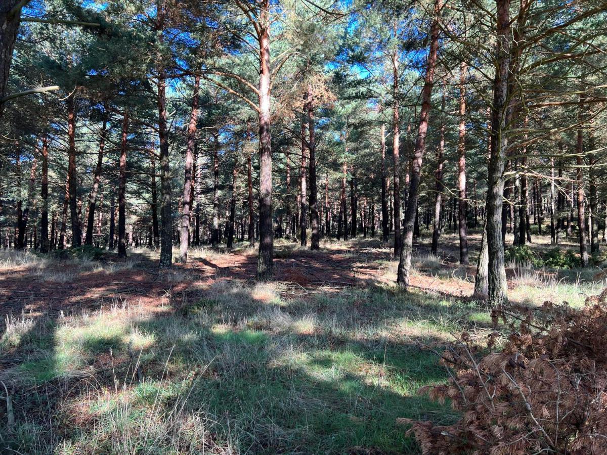 El Pecu Casa Rural Starfamiliar Bustillo Del Paramo Bagian luar foto