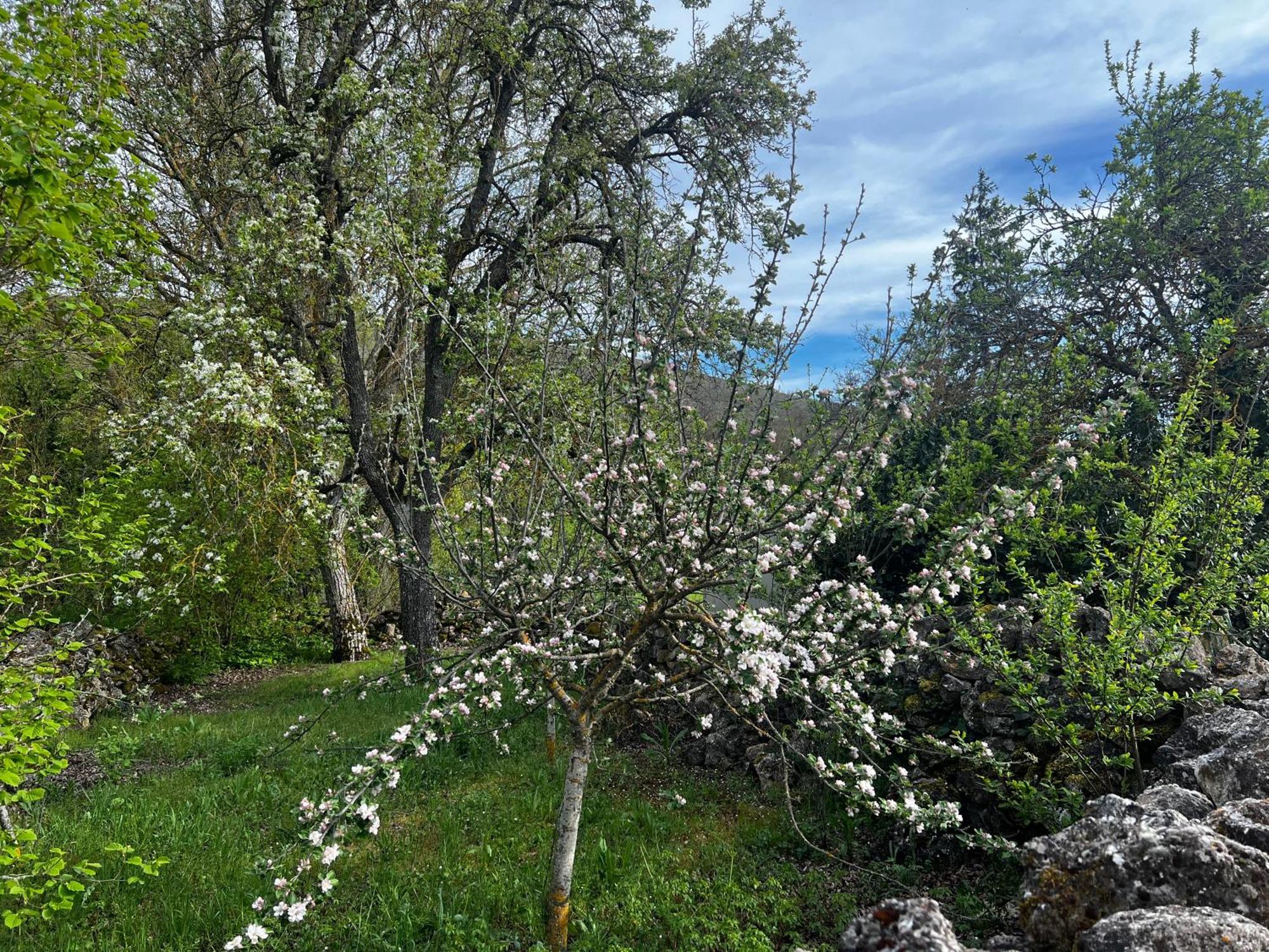 El Pecu Casa Rural Starfamiliar Bustillo Del Paramo Bagian luar foto